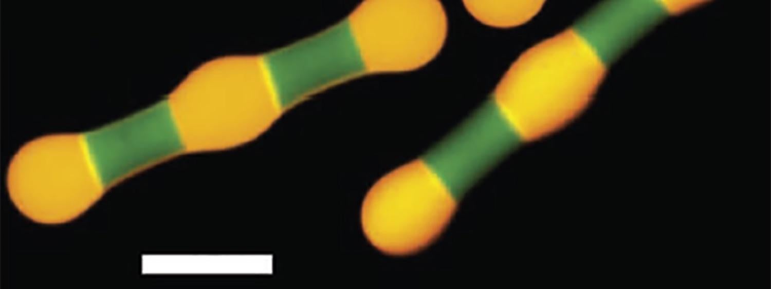 Colloidal Rotaxanes Banner