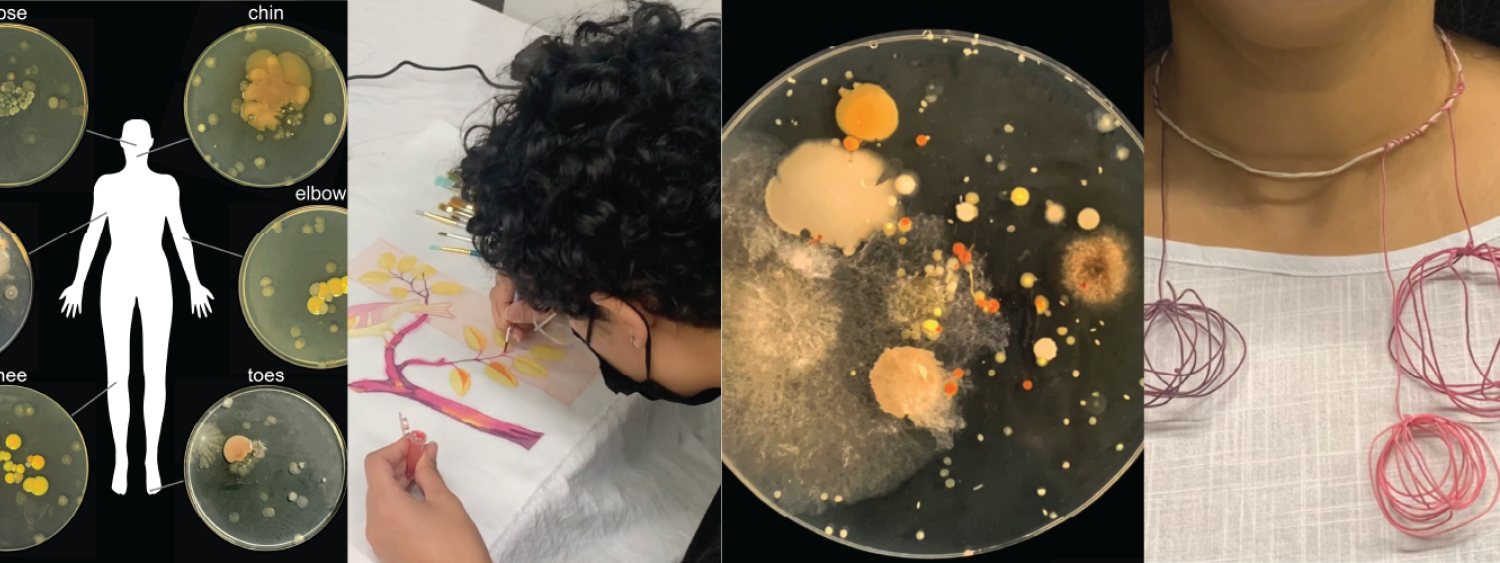 Human Microbiome image collage with bacteria cultures and art objects