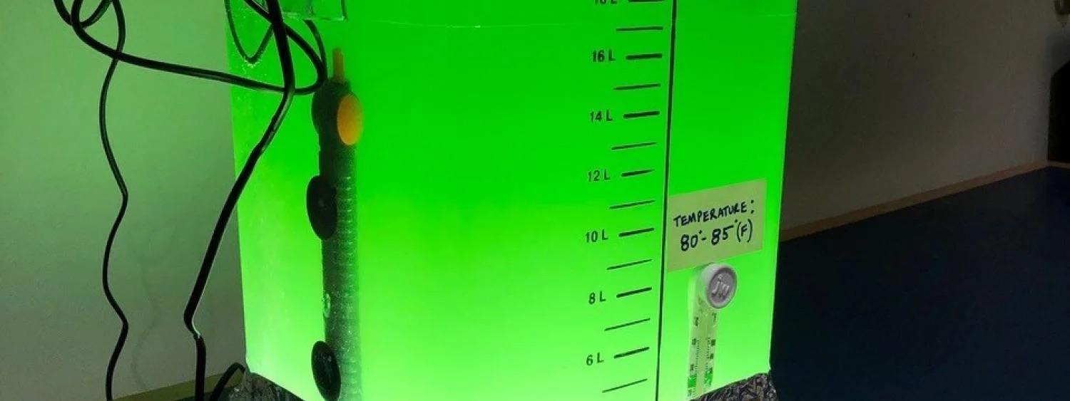 Micro Algae Bioreactor Banner