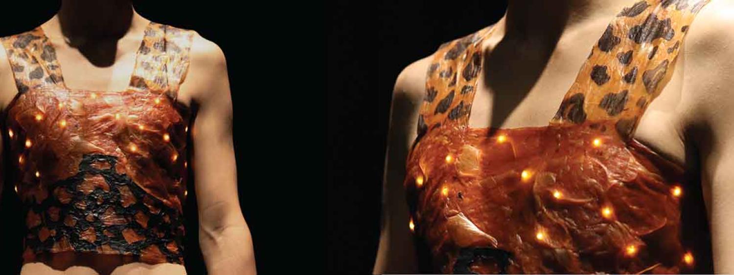 a composite of three images of the same kombucha scoby breastplate