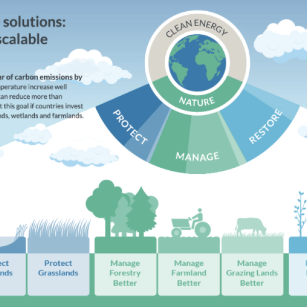climate policy