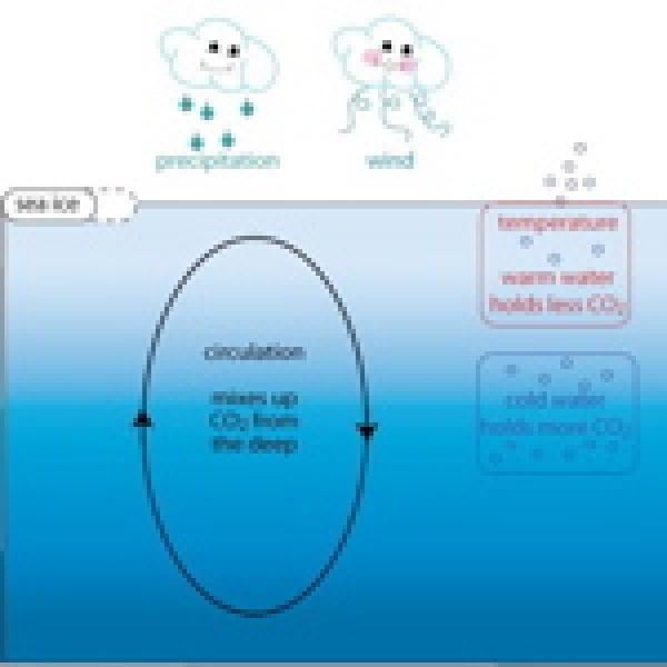 global carbon cycle
