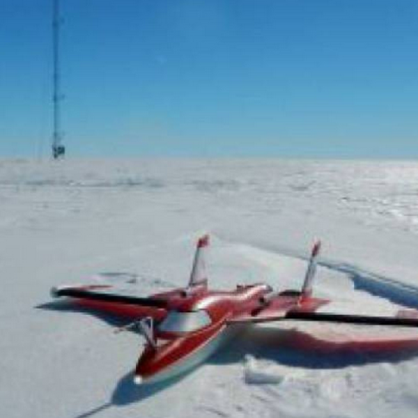 field observations