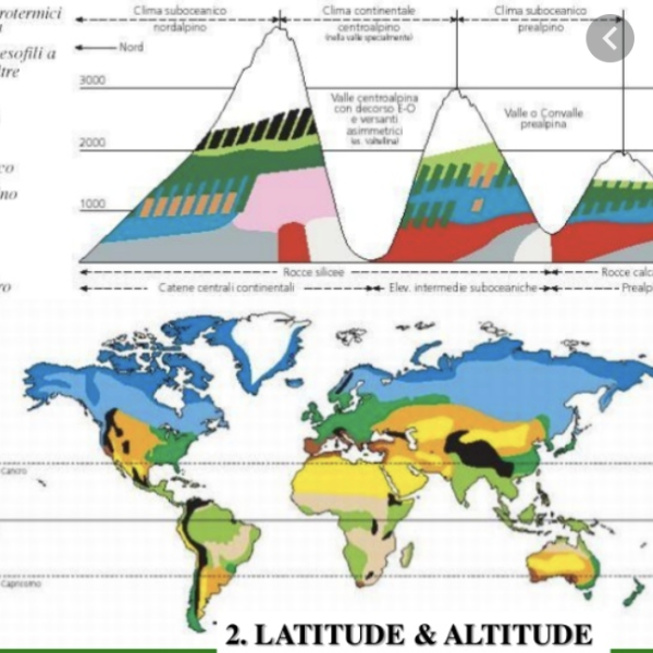 paleoclimate