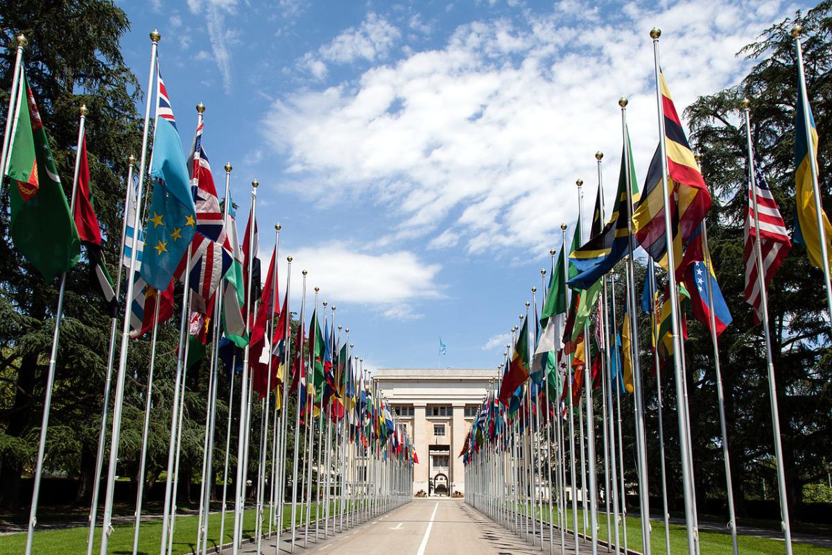 United Nations Flags in a row