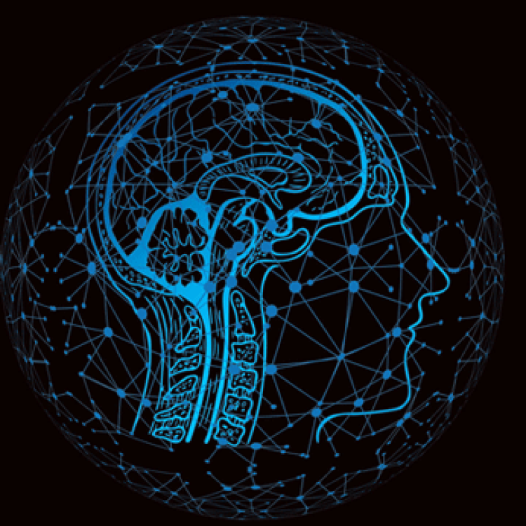 brain art illustration
