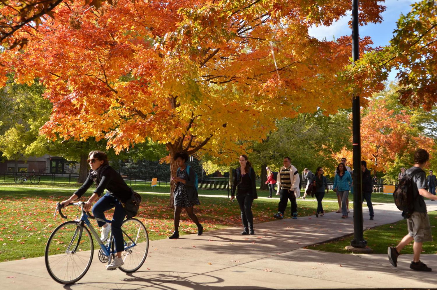 Campus Fall leaves