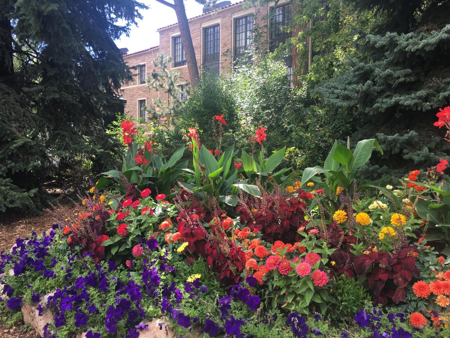 Spring flowers