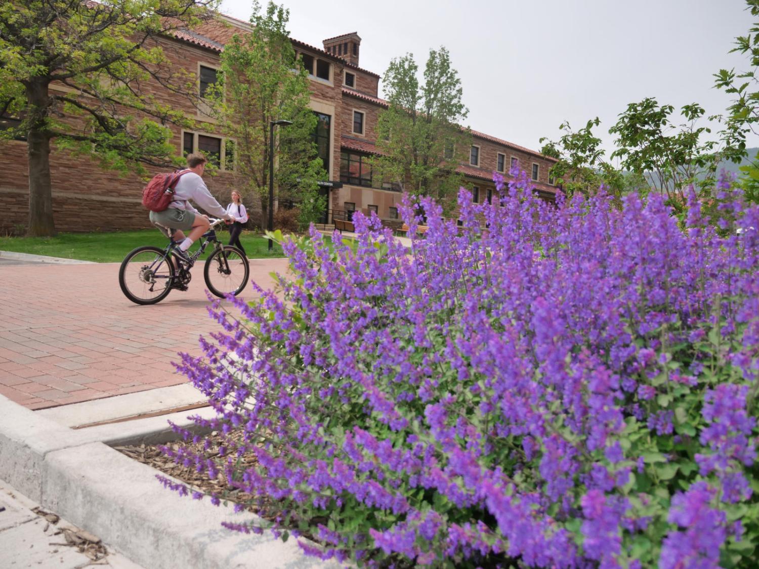 Spring flowers student biking