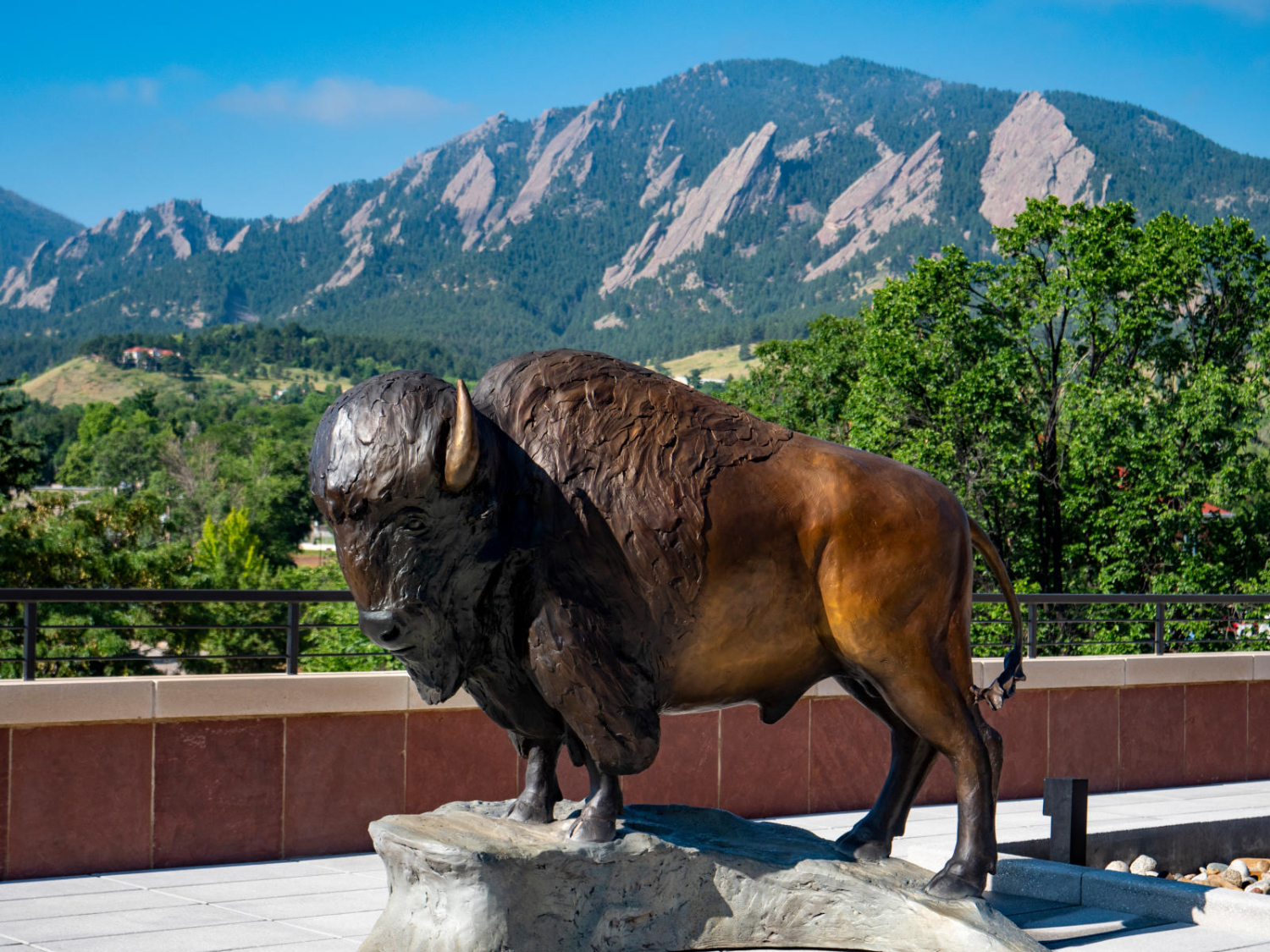 Statue of Ralphie by the CASE building.