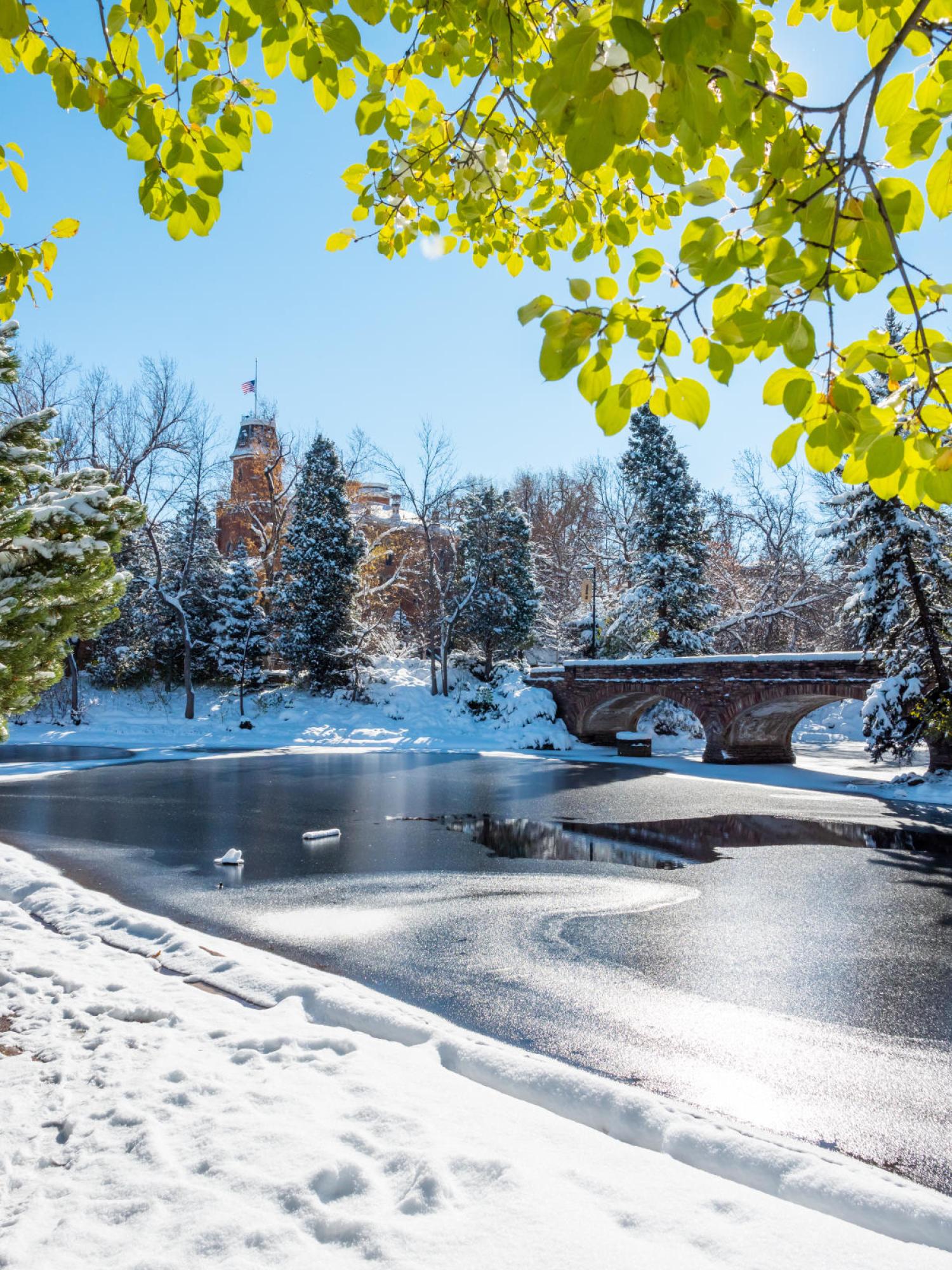 Varsity Lake Winter