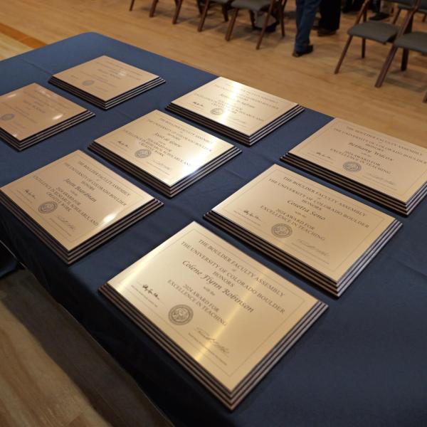 Excellence Awardee plaques