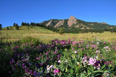 Flatirons in Boulder