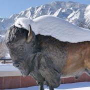 Ralphie statue in snow