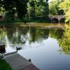 Varsity pond with ducks on the pond during springtime.