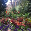 Spring Flowers