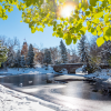 Photo of Campus In Snow