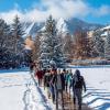 Students walking on campus in the snow