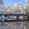 Winter view of CU Varsity pond