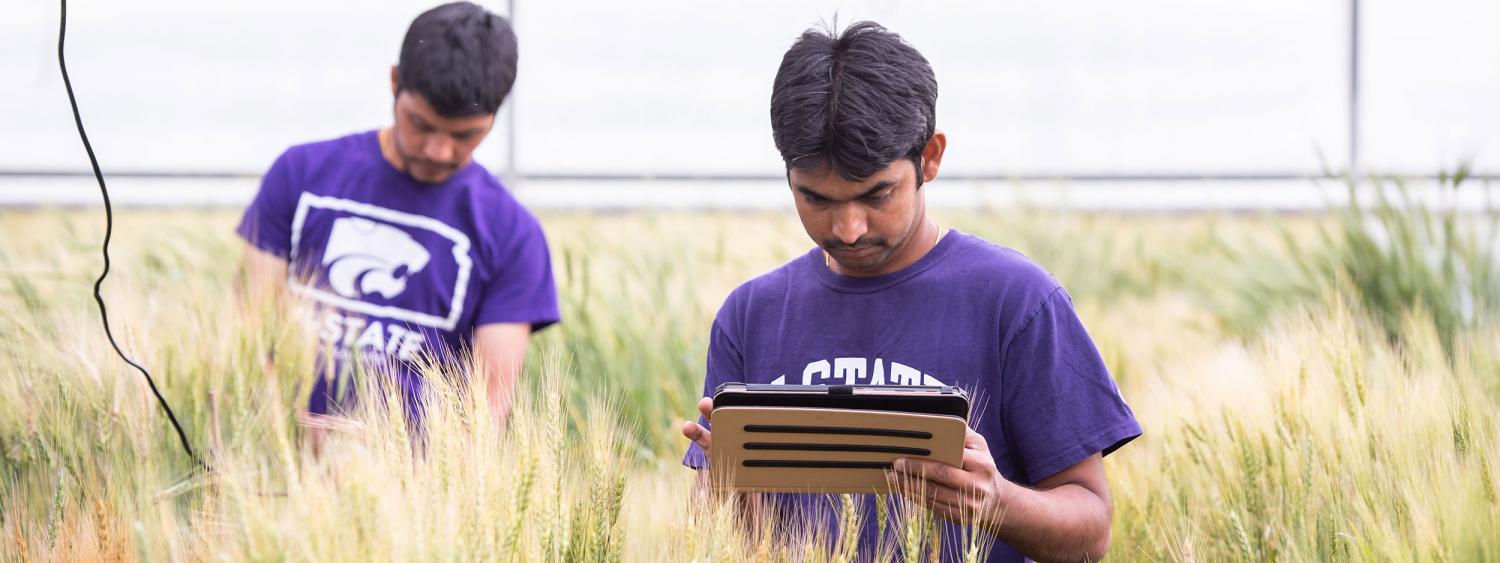 Two students taking notes in a field of grain