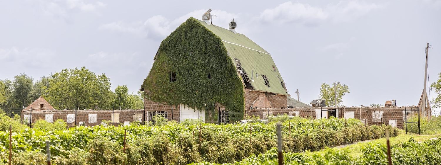 An image of a field and a barn on a student farm at Oklahoma State