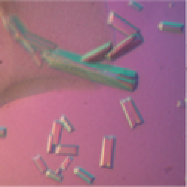 xray crystallography graphic