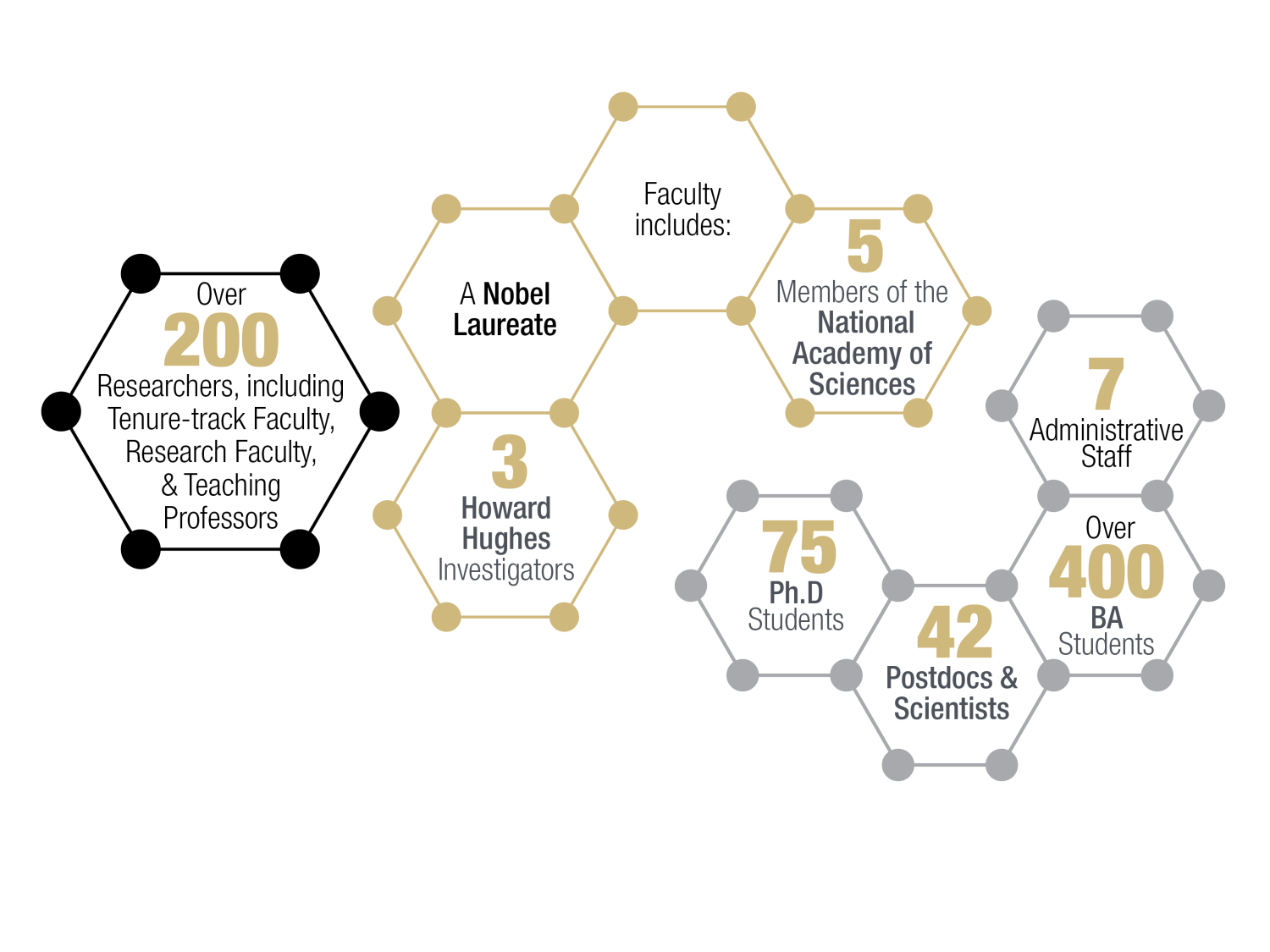 2024 Biochemistry Department At a Glance