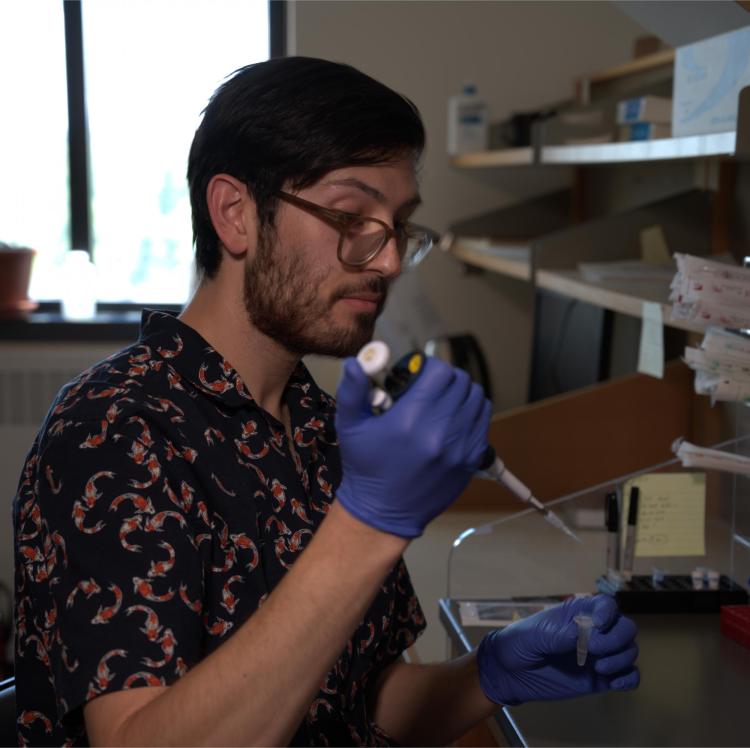 Otto in the Lab