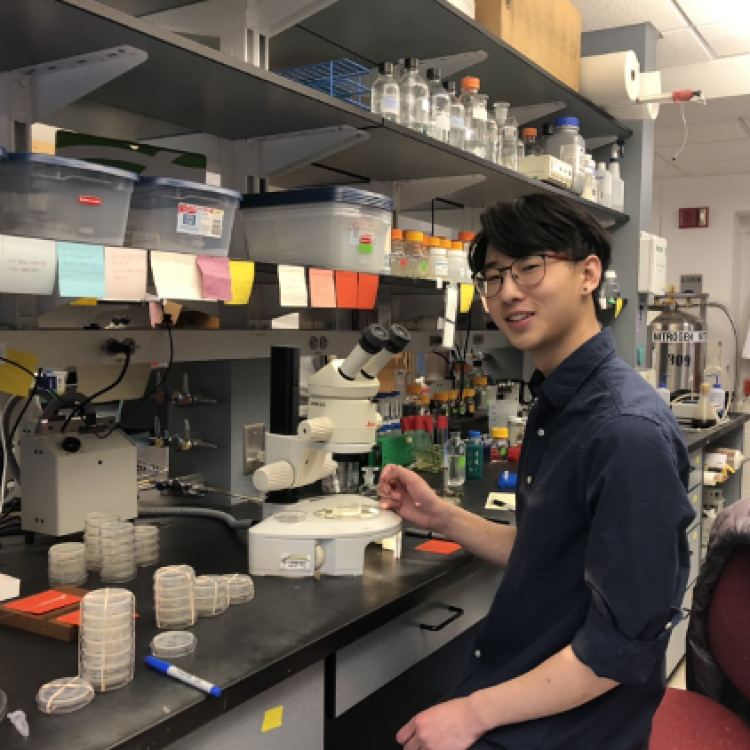Yanick at his Lab Bench