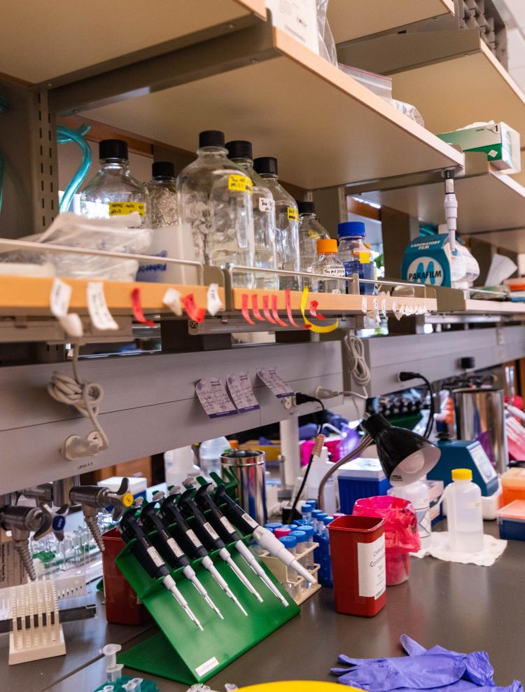 Biochemistry Lab