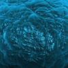 cell