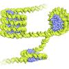 hhmi2