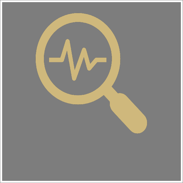 Magnifying glass icon