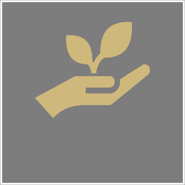 Hand holding a plant icon