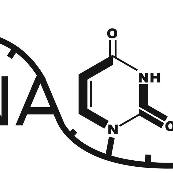 An illustration of an RNA molecule spelling RNA Club