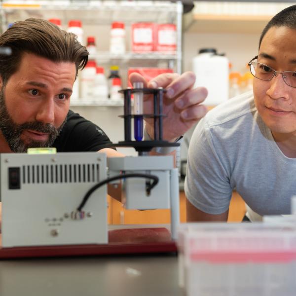 Two scientists looking at a sample