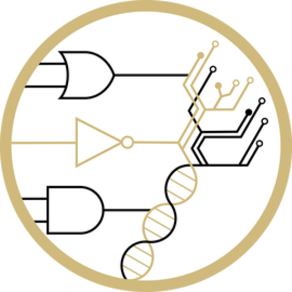 A black and gold illustration of DNA and a circuit