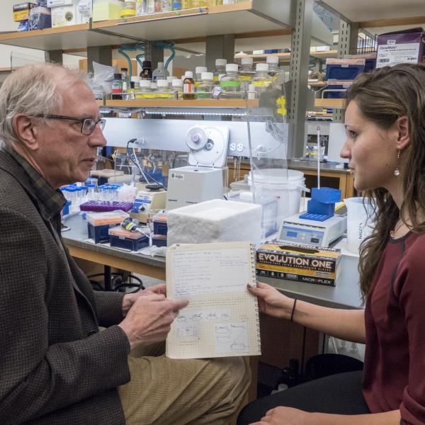 Researchers in a lab discussing a lab notebook