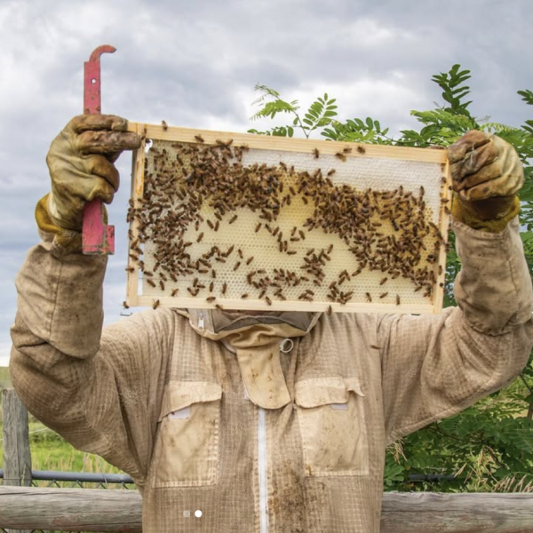 A beekeeper with a bee frame