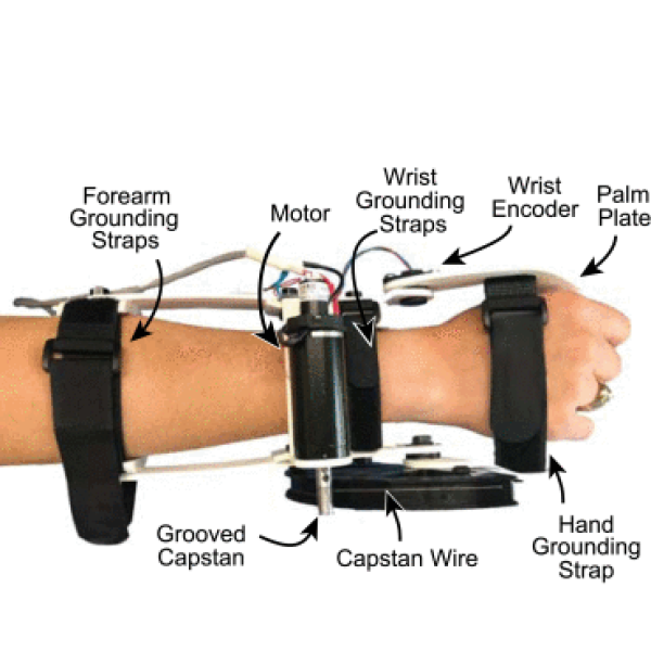 Wrist prosthesis