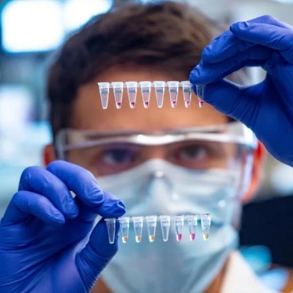 A scientist looking at multicolor samples