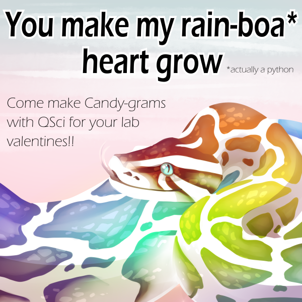 QSci poster with illustration of rainbow-patterned snake
