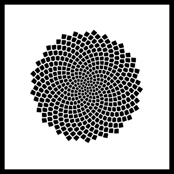 Complex Systems icon