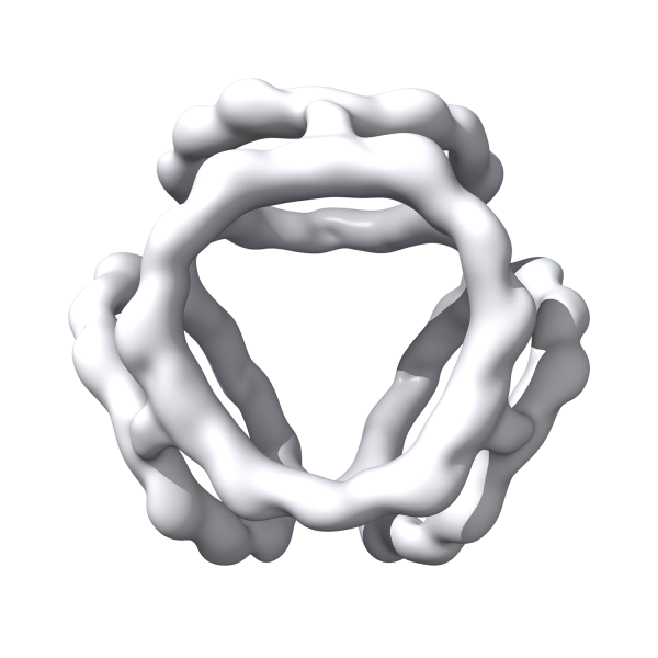Nanocage