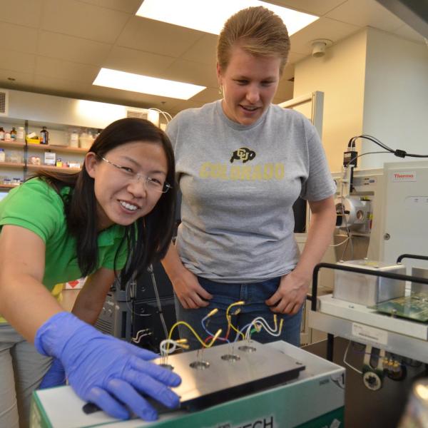 Ahn lab members working together