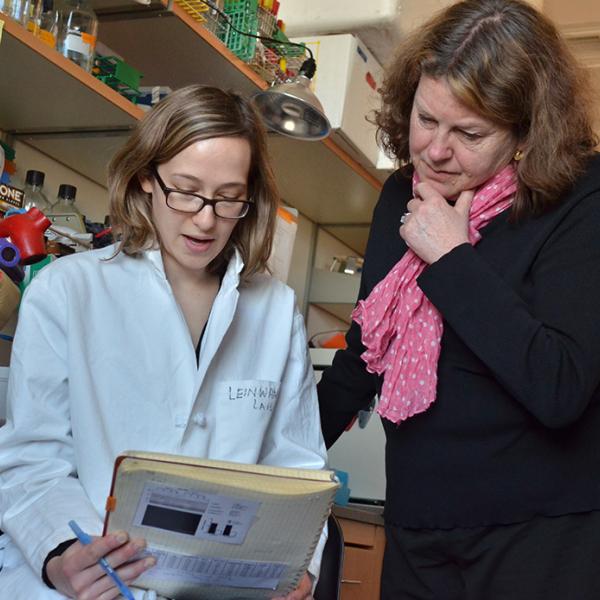 Leinwand lab members