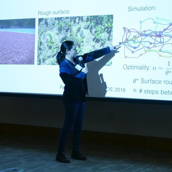 Orit Peleg presents dung beetle data