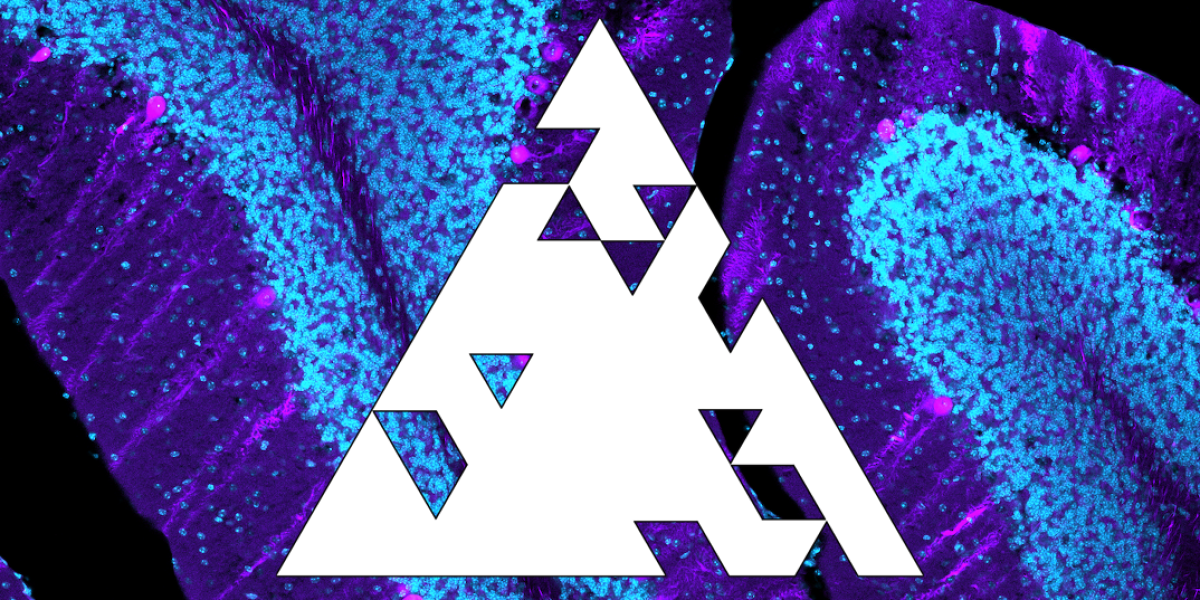 A disintegrating triangle icon on top of a blue and purple brain micrograph