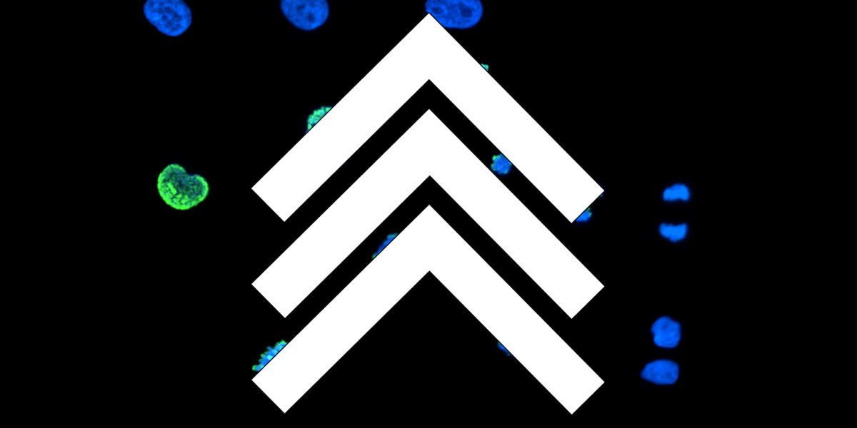 Icon of 3 chevrons on top of blue and green dividing cells