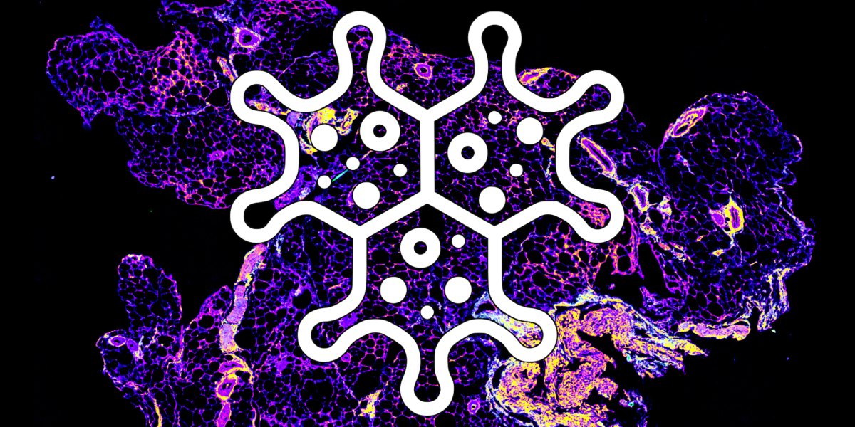 Icon of 3 connected cells on top of a purple and yellow spleen micrograph